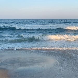 Meet your Posher, Shelly